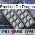 Érection De Dragon 07